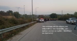 ορεστιαδα 2